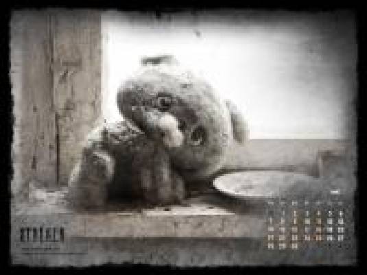 S.T.A.L.K.E.R. календарь на июнь 2010