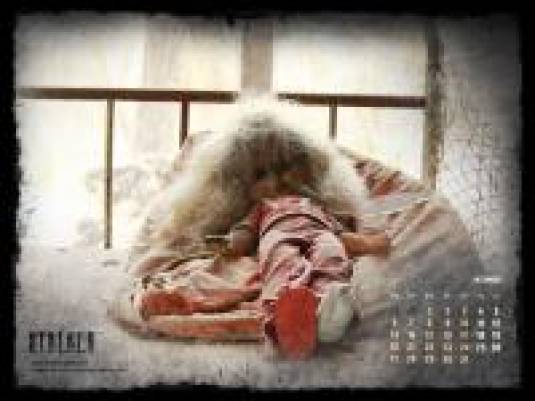 S.T.A.L.K.E.R., календарь на декабрь 2010