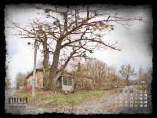 S.T.A.L.K.E.R.: календарь на июль 2011