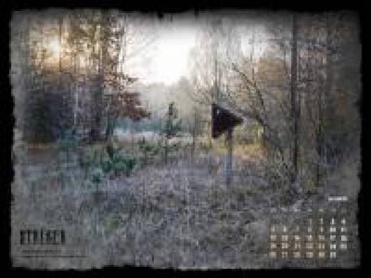 S.T.A.L.K.E.R.: календарь на декабрь 2011