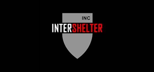 Шутер InterShelter – участник Зимней распродажи Steam