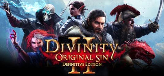Divinity: Original Sin 2 - идет на консоли